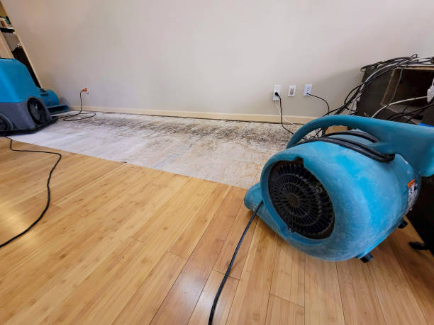 Professional Water Damage Repair technician working in Gretna, FL